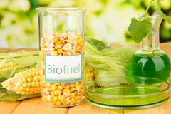 Fiunary biofuel availability