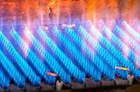 Fiunary gas fired boilers
