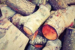 Fiunary wood burning boiler costs